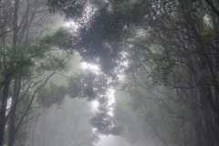 9a19485b-d982-4068-866e-054dc0dfecd4