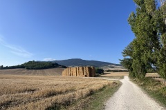 IMG_0636