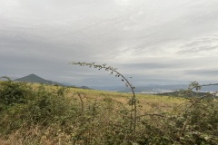 IMG_0756