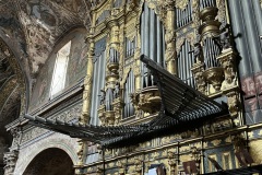 IMG_0783