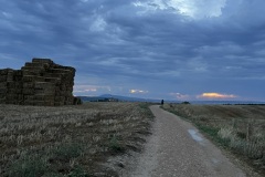 IMG_0801