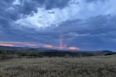 IMG_0804