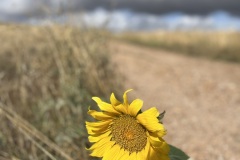 IMG_1141