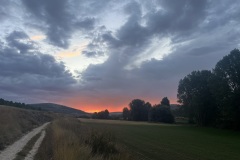IMG_1208