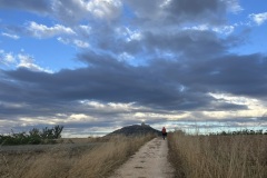 IMG_1229