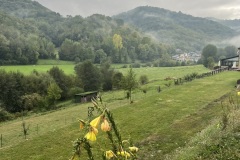 IMG_2137