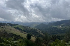 IMG_2156