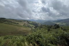 IMG_2159