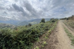 IMG_2160