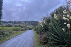 IMG_2432