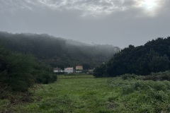 IMG_3106