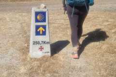 e0ccde70-19ee-42d7-8413-fe67606b53a0