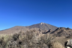 IMG_4245