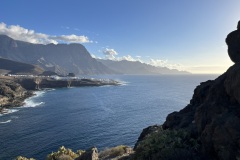 IMG_4597
