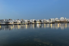 IMG_5294