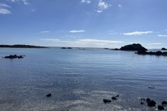 IMG_5580