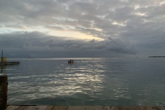 IMG_8398