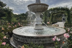 IMG_3531