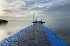 IMG_8697