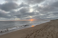 IMG_5914