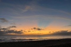 IMG_5917