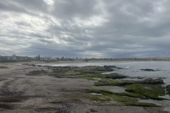 IMG_5958