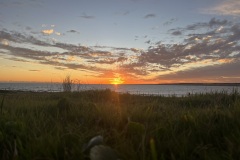 IMG_6060