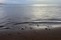 IMG_6235